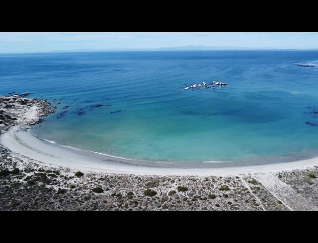 450M² VACANT LAND FOR SALE IN SHELLEY POINT